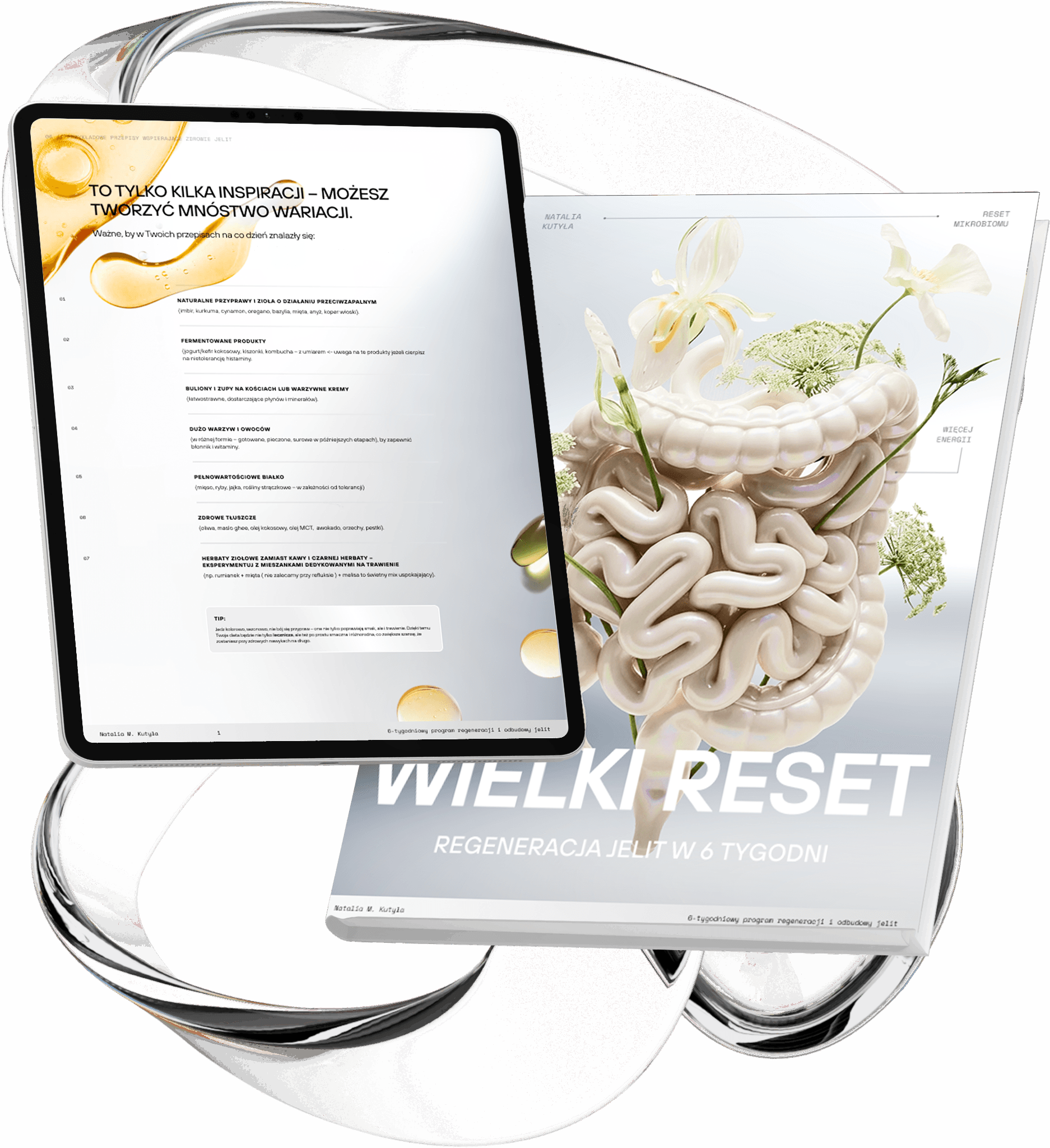 Cover of The Great Gut Reset e-book